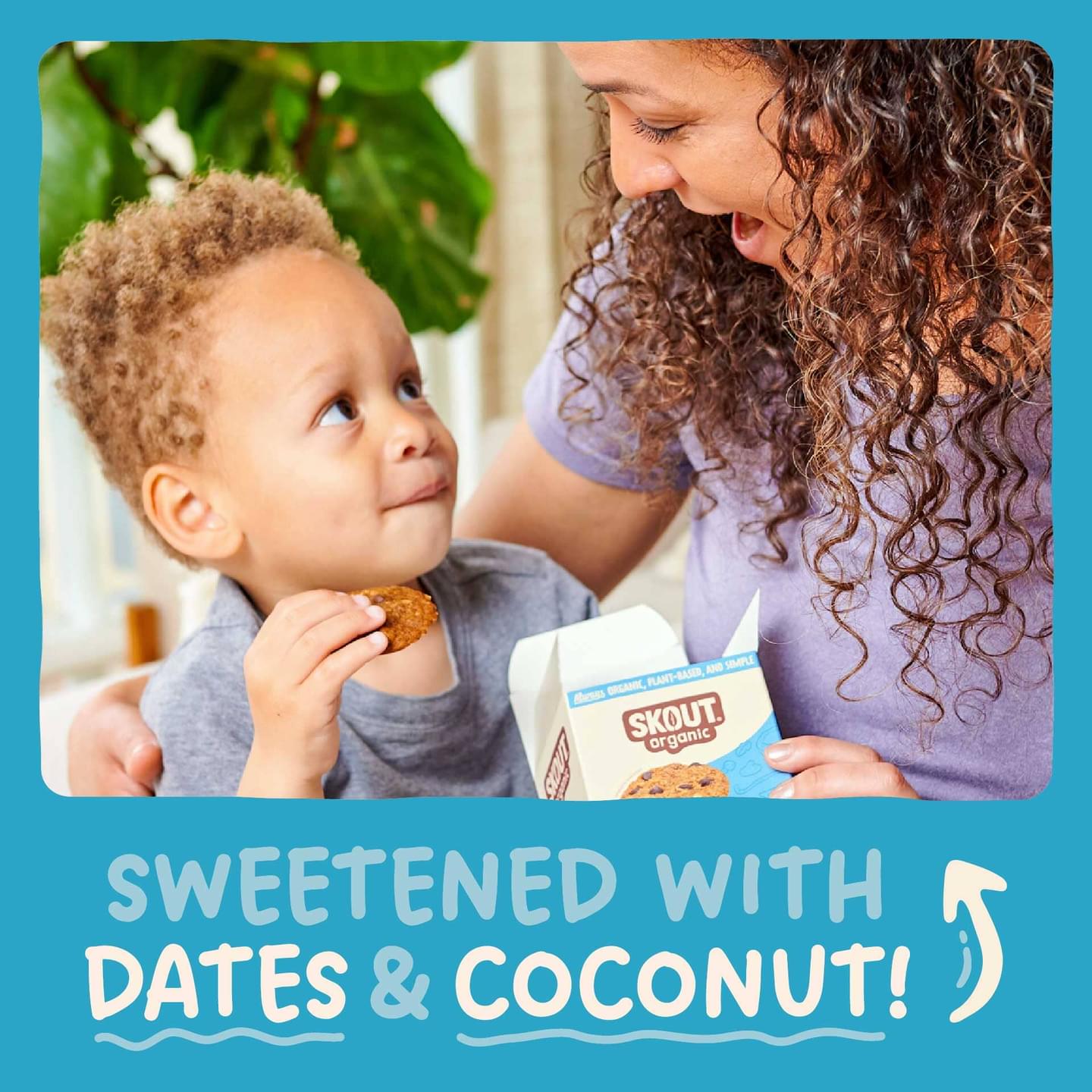 Skout Organic Soft Baked Cookie Sample Pack