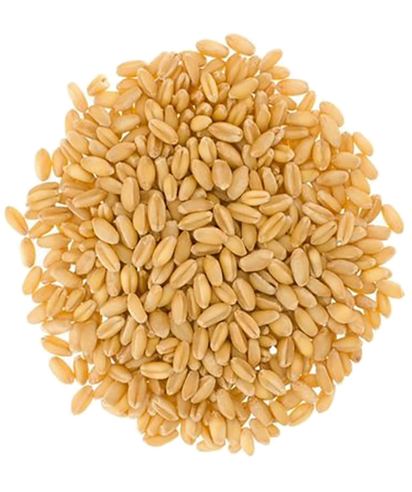 Soft White Wheat | 3 LB