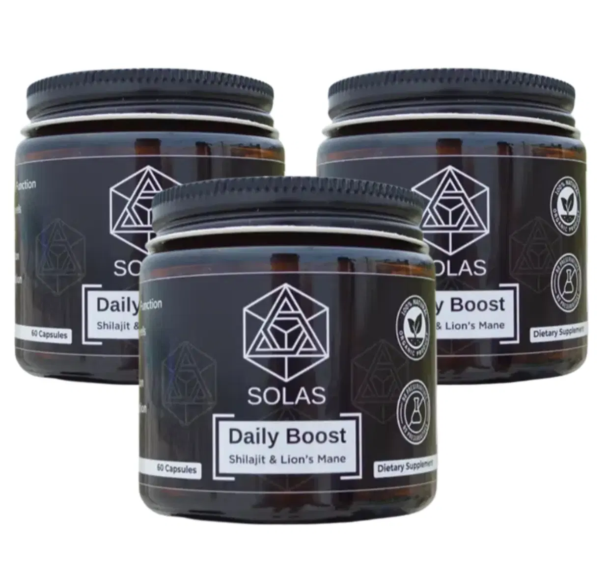 3 Pack Bundle: Daily Boost – Shilajit & Organic Lion’s Mane Mushroom Supplement for Energy, Focus & Stamina – Natural Adaptogen & Nootropic Blend