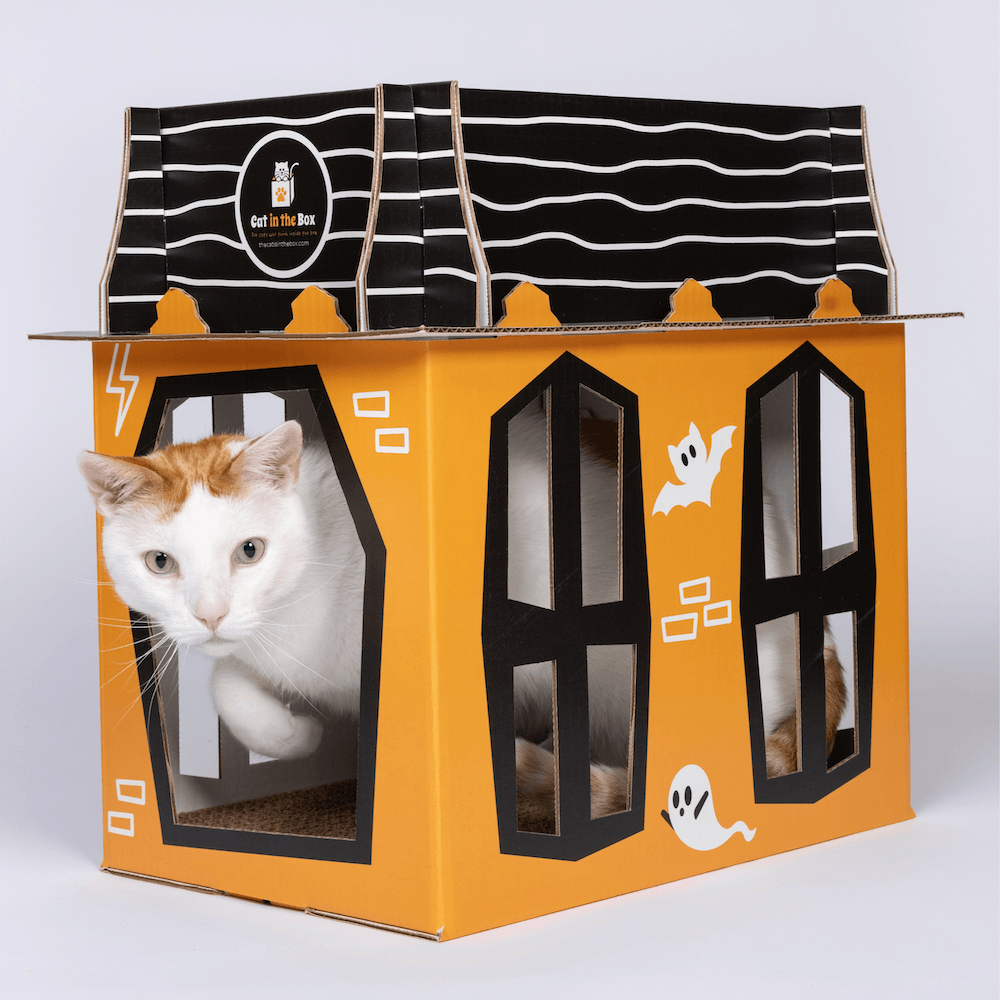 product-image-2