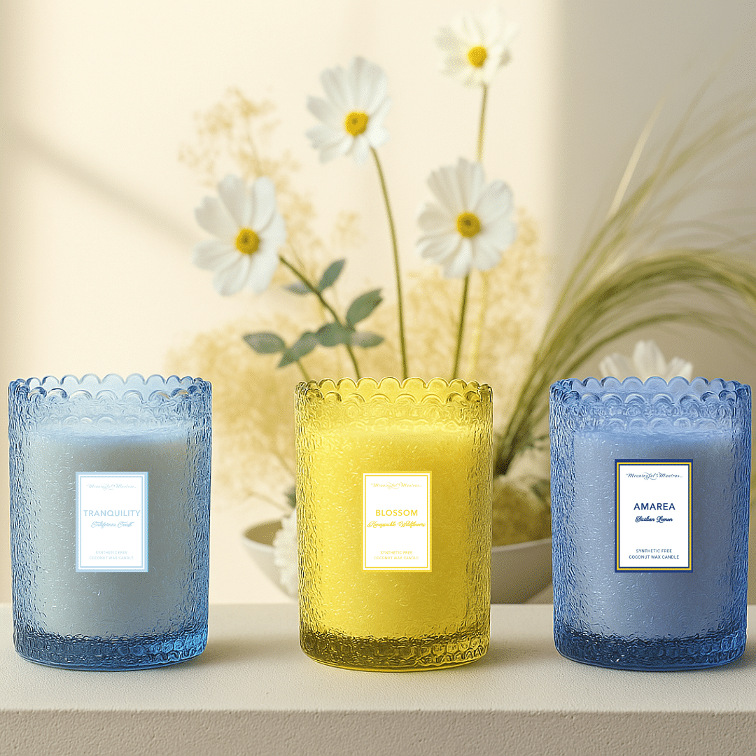 Summer Non-Toxic Gift Set