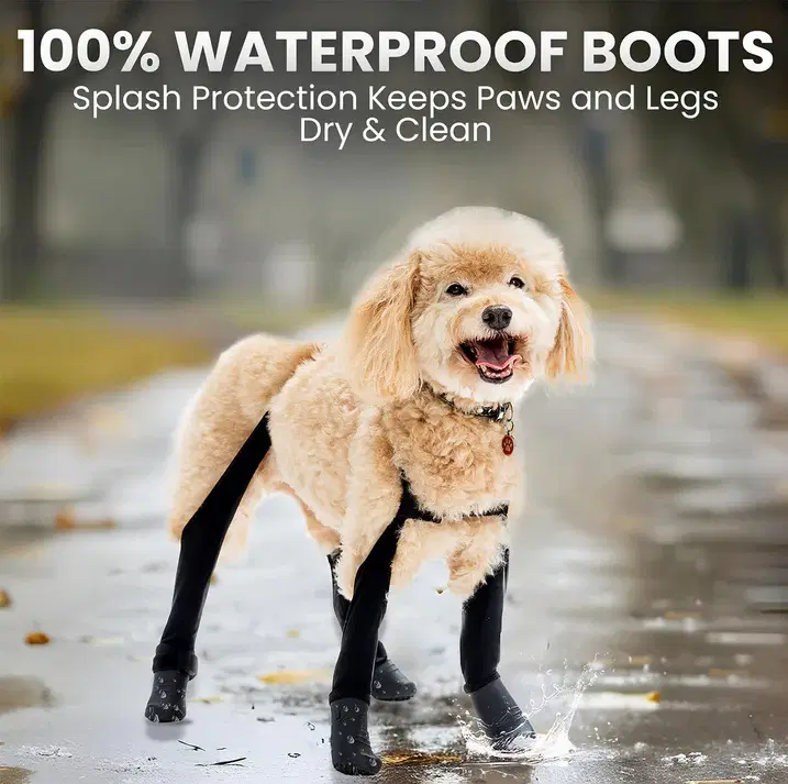 Suspender Boot Leggings (Deluxe, Easy-On) Black XS-Short