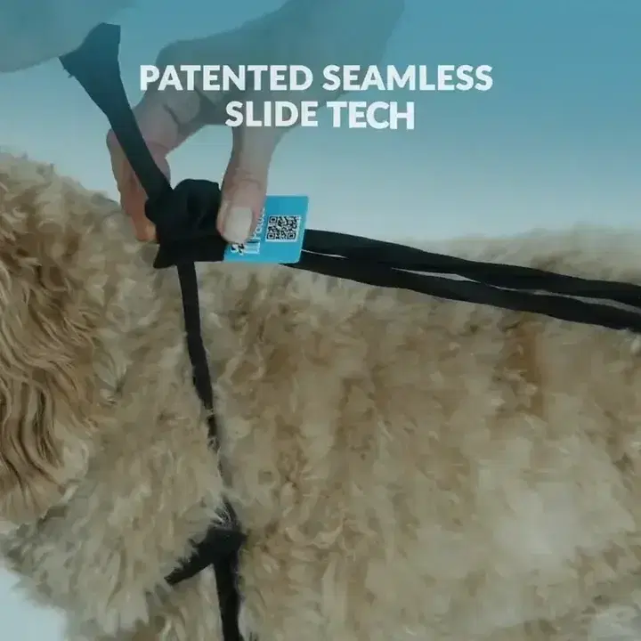 Suspender Boot Leggings (Deluxe, Easy-On) Black XS-Short