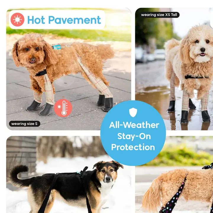 Suspender Boot Leggings (Deluxe, Easy-On) Black XS-Short