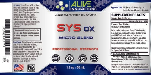 SYS DX image