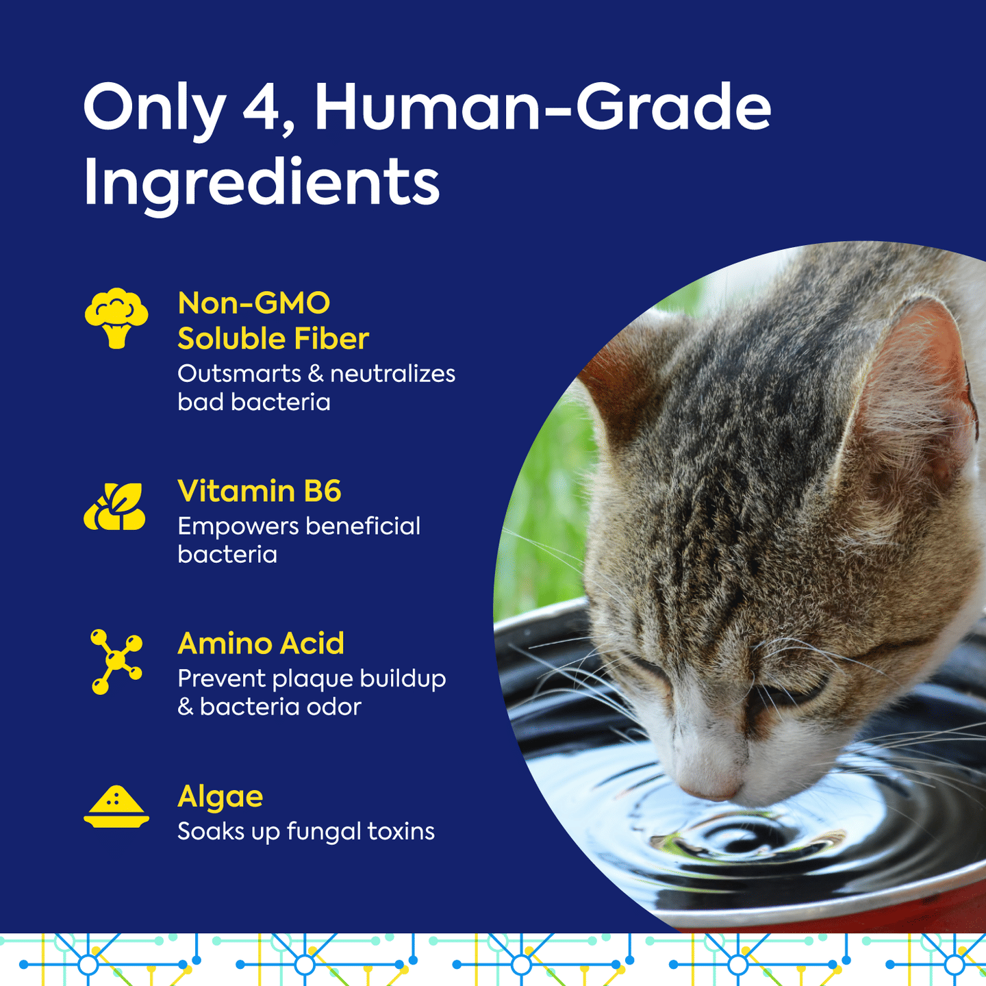product-image-4