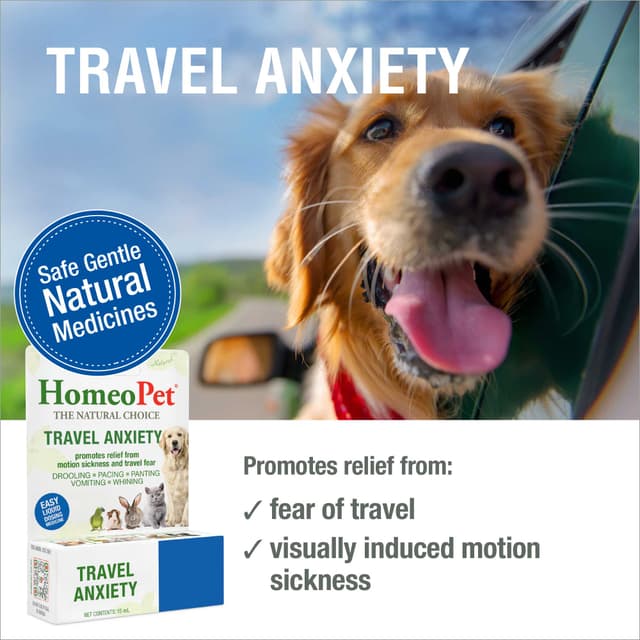 Photo inspiration: Visual Reference: Travel Anxiety Pet Anxiety Support For Travel