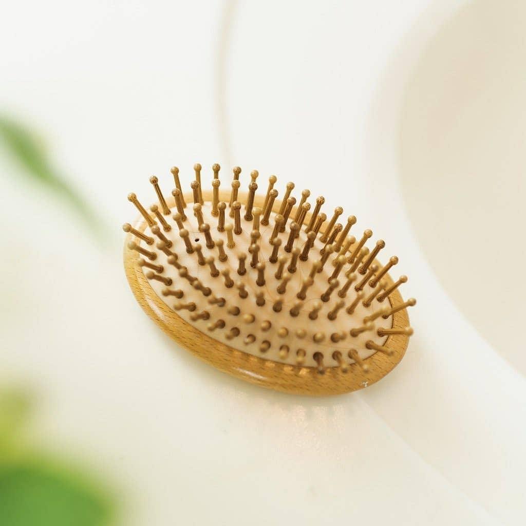 travel hairbrush