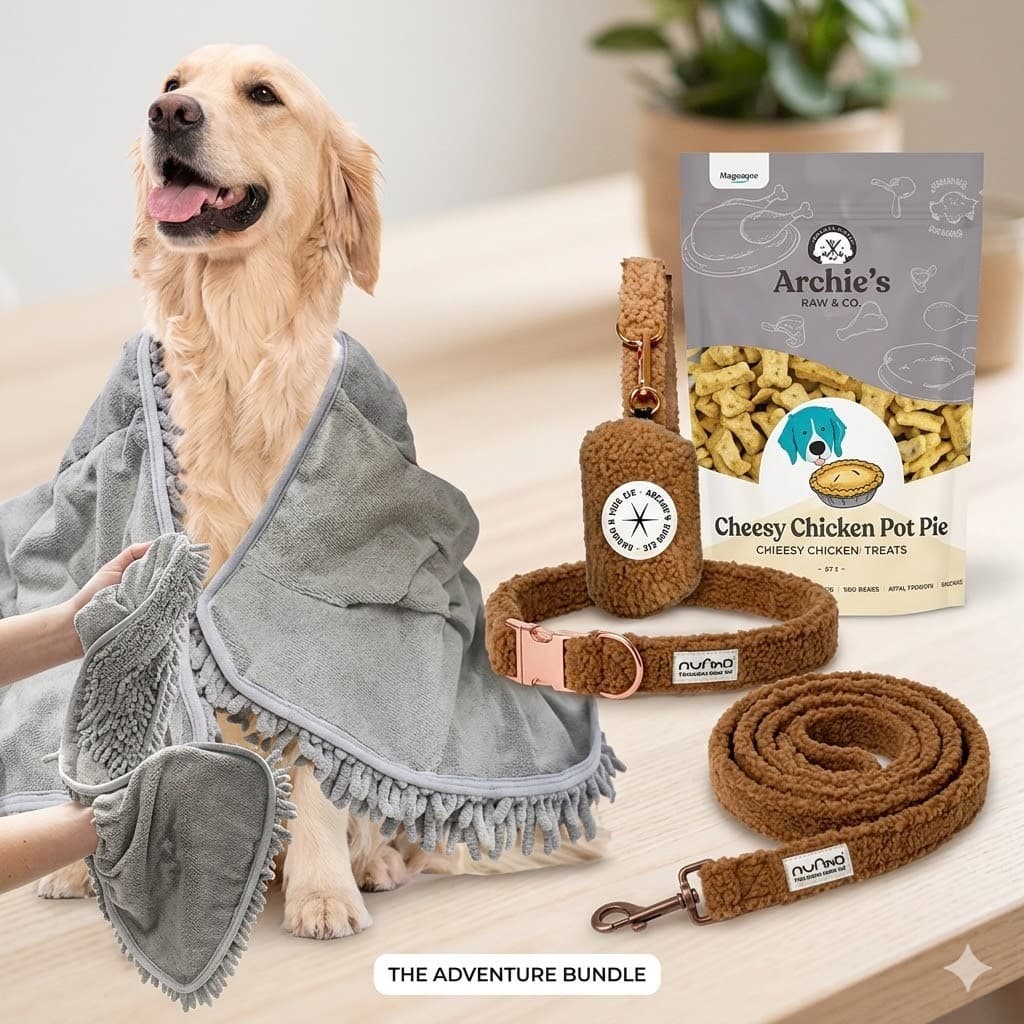The "Golden Hour Glow-Up" Adventure Bundle