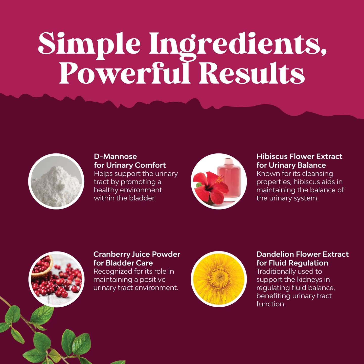 Urinary Tract Support 1000mg per serving