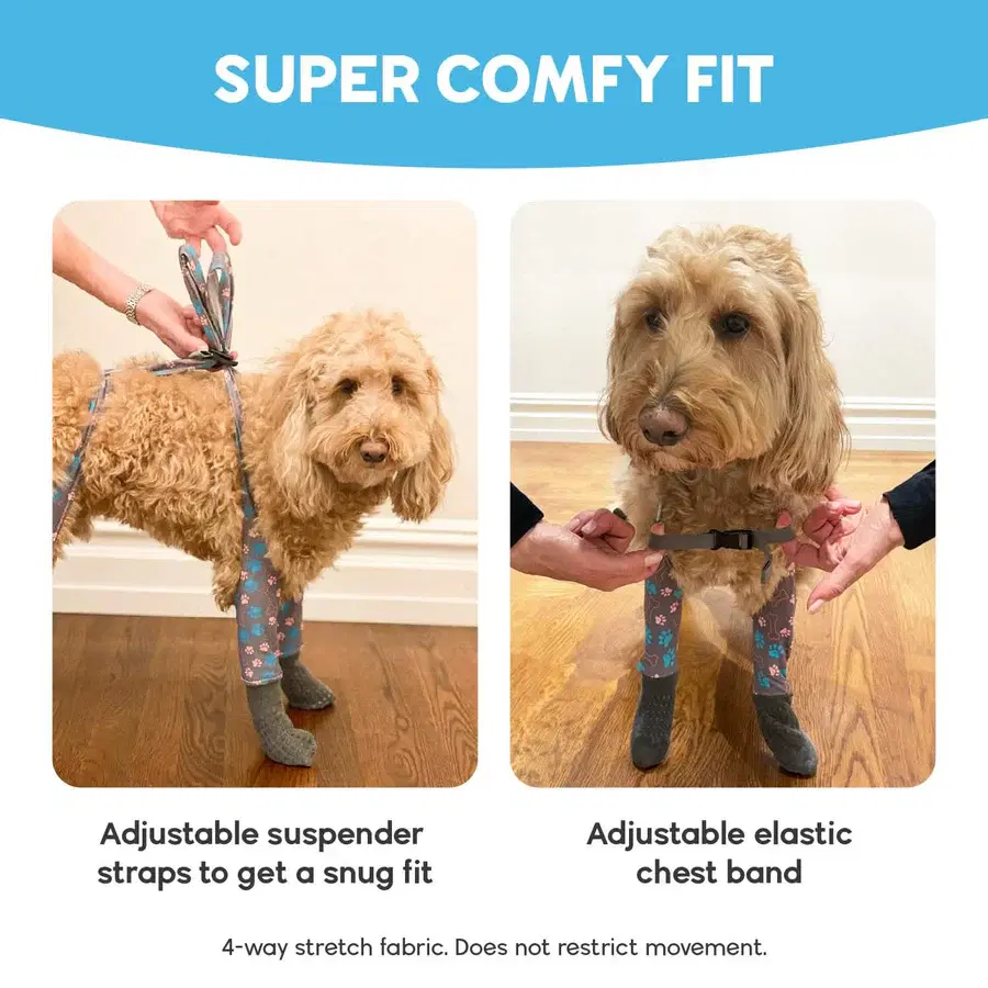 Walkee Paw - Indoor Grippy Sock Leggings