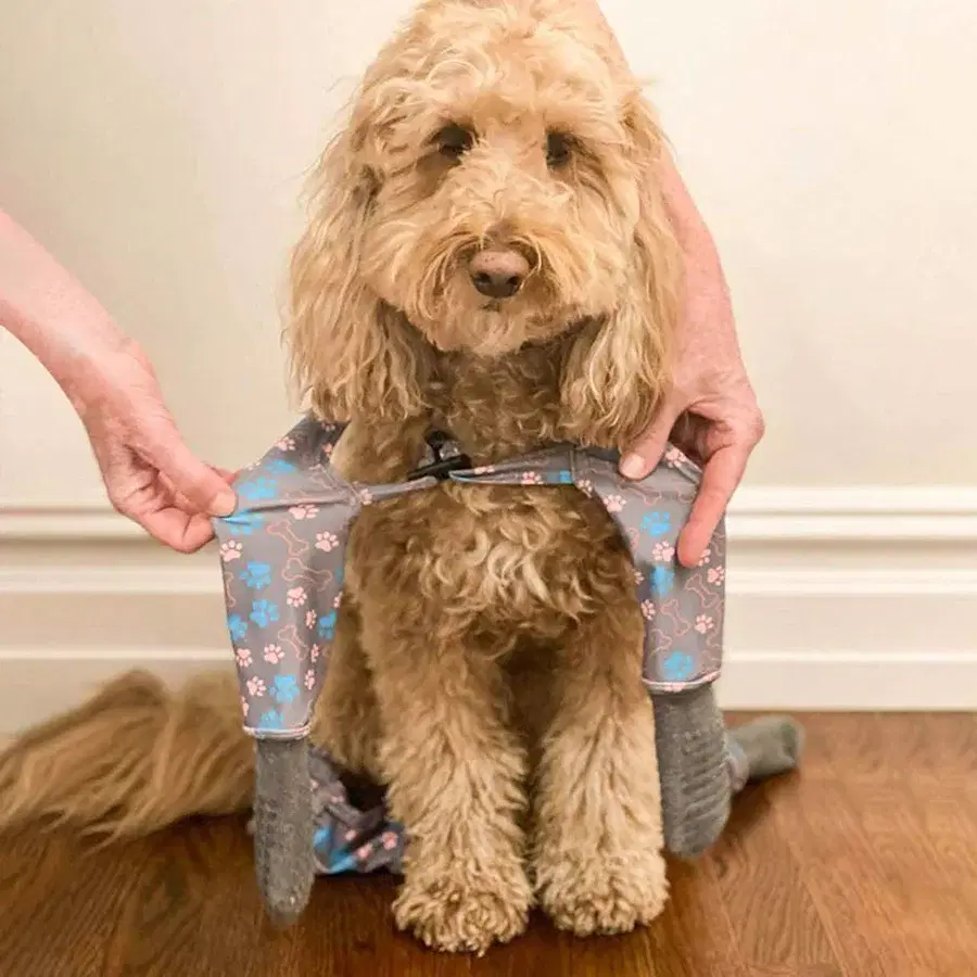 Walkee Paw - Indoor Grippy Sock Leggings