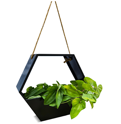 Wall Planters for Indoor/ outdoor Plants- Black metal Planter with rope for hanging, self watering mechanism- Versatile and Weather Resistant black