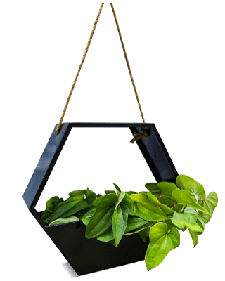 Wall Planters for Indoor/ outdoor Plants- Black metal Planter with rope for hanging, self watering mechanism- Versatile and Weather Resistant black