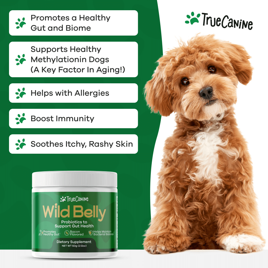 Wild Belly Probiotic / Longevity Support – Probiotic Supplement, Pumpkin Flavor