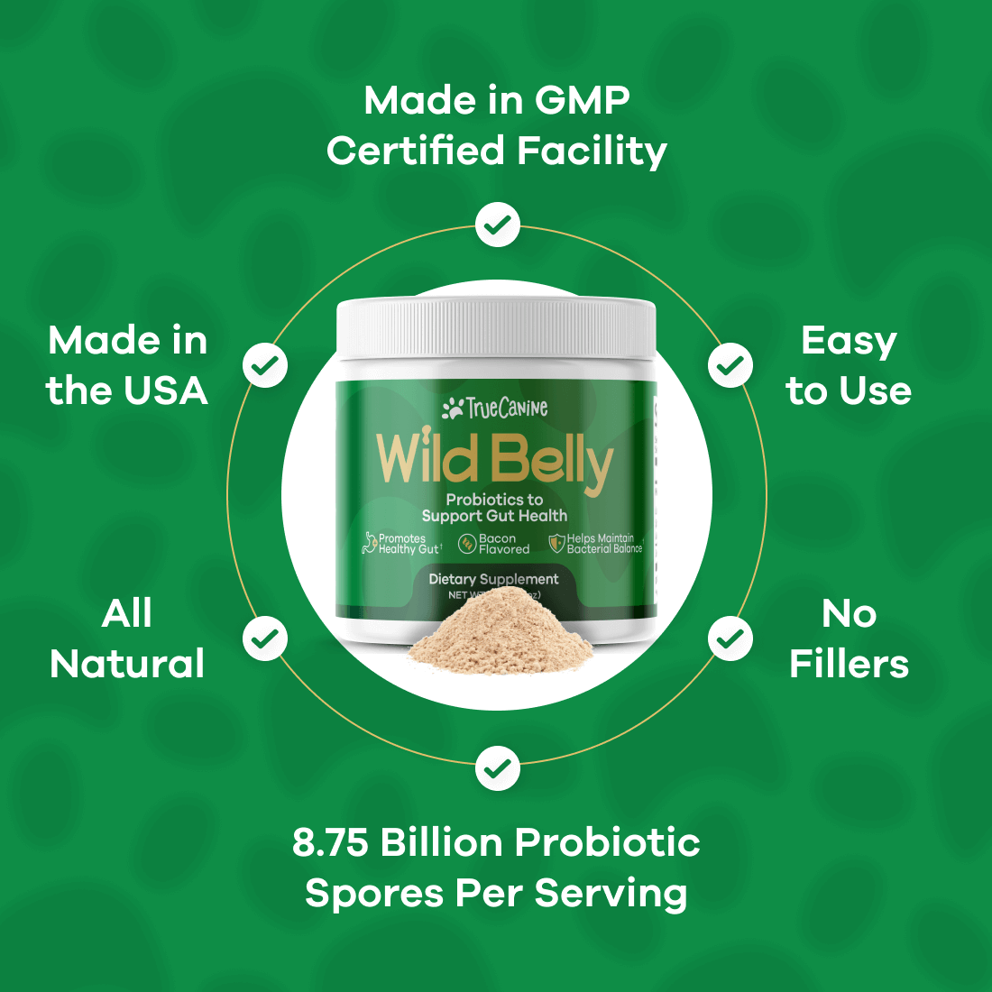 Wild Belly Probiotic / Longevity Support – Probiotic Supplement, Pumpkin Flavor