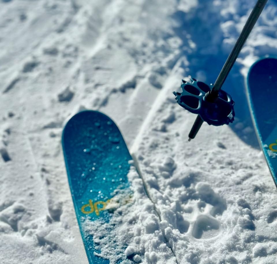 Stoke Tracks Mountain Lion Ski Pole Baskets - Thumbnail 2