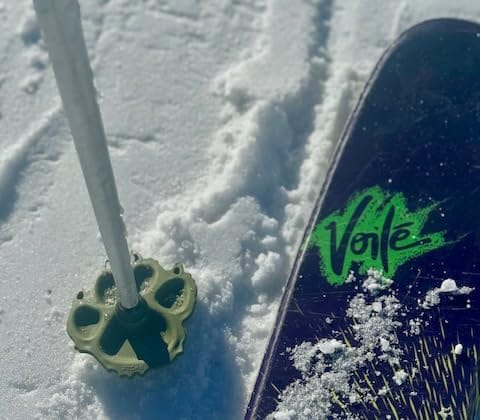 Stoke Tracks Mountain Lion Ski Pole Baskets - Thumbnail 4