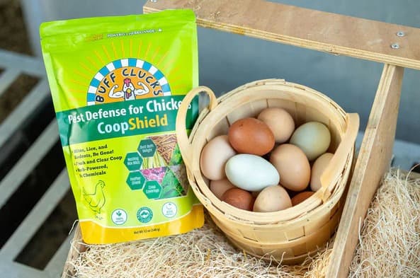 CoopShield—Herbal Pest Defense for Chickens - 5