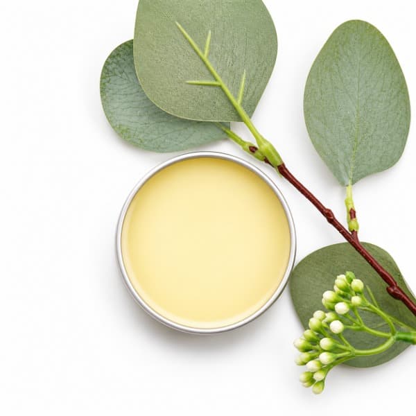 Taylor Made Organics Cold & Sinus Organic Salve Camphor-Free Vapor Rub with Eucalyptus & Peppermint (2 oz)