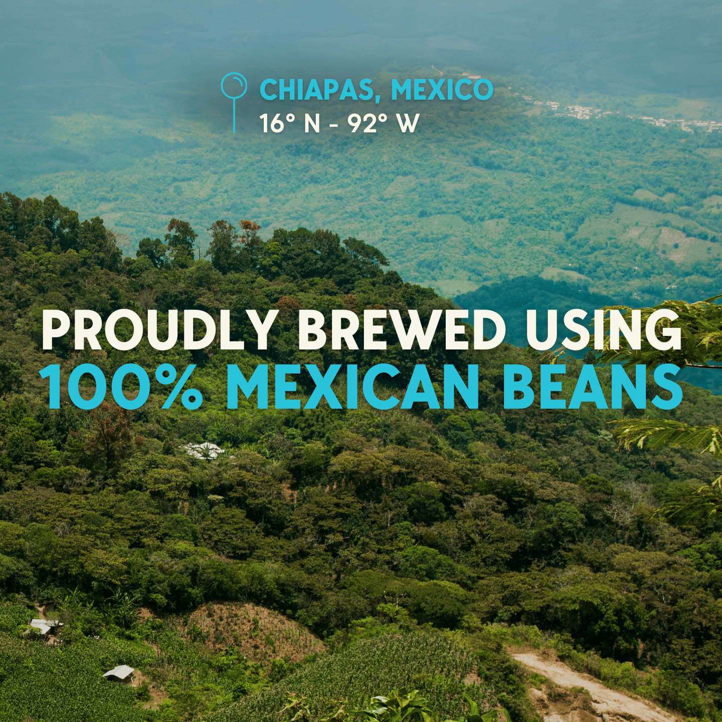 LIMITED TIME OFFER - BOGO 50% OFF! | Rica Cold Brew | Mexican Dark Roast Cold Brew Coffee - 12 Pack