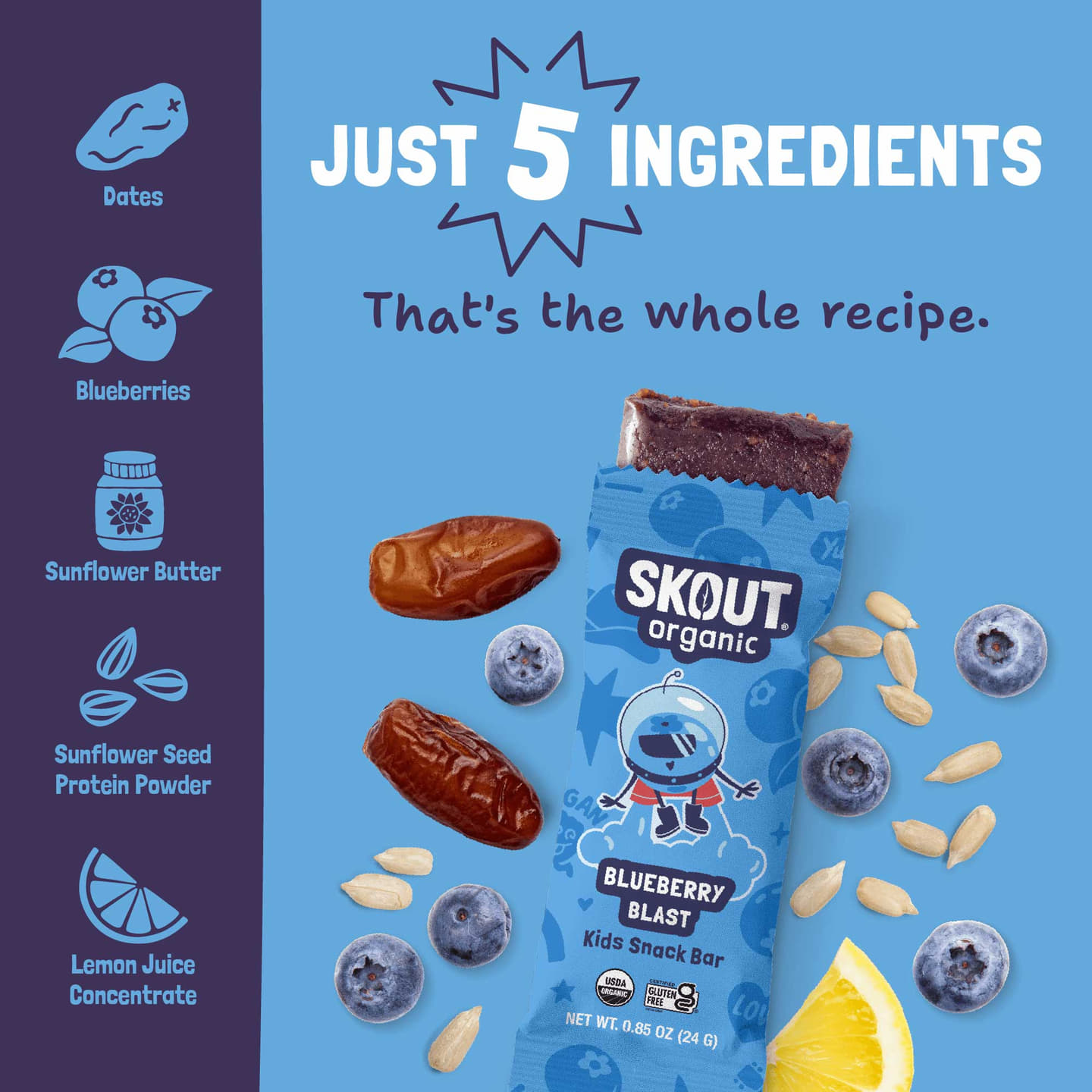 SkoutOrganic_eComm_KidsSnackBars_BlueberryBlast_WhatsInside