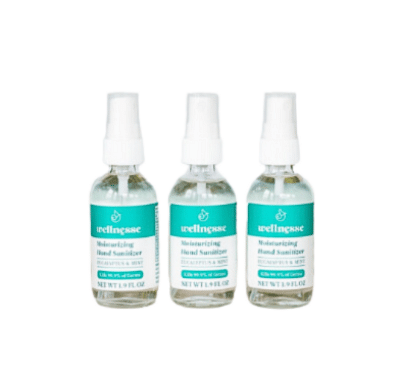 Moisturizing Hand Sanitizer, 3 Pack