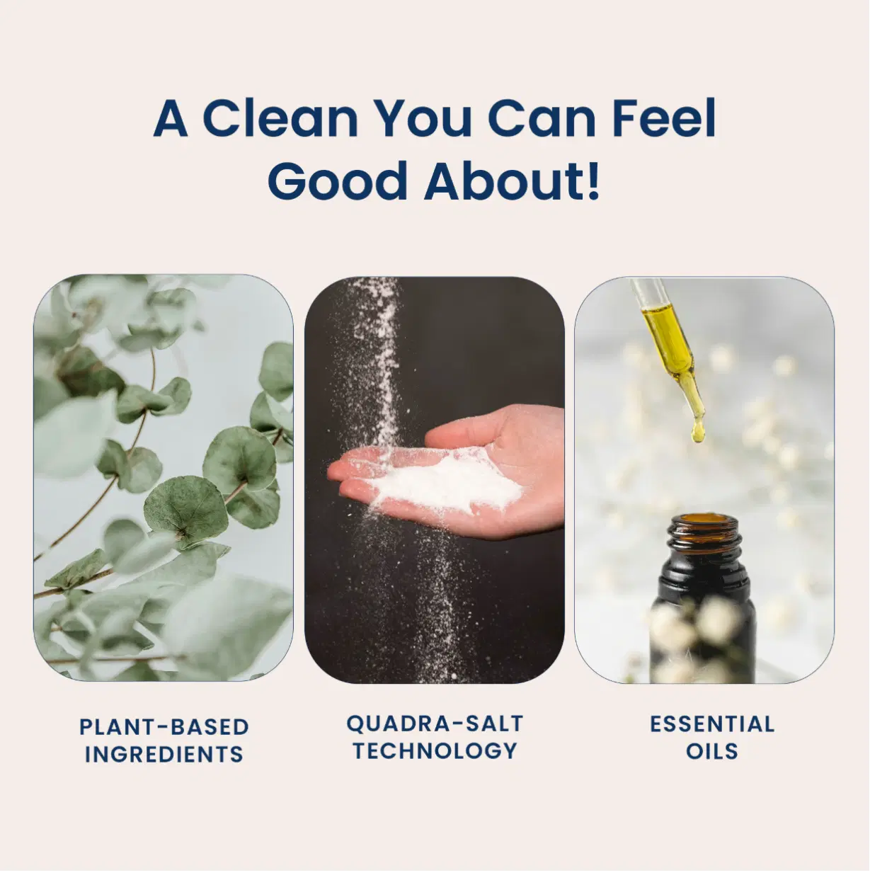 Truly Free TF Scented Rinse SR| Safe for Babies & Kids with Sensitive Skin | Plant-Based | Include 1 Refillable 50oz Bottle with Measuring Cap| Signature Wash Scented (50 Loads)