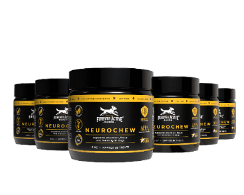 NeuroChew - 6 Month Supply