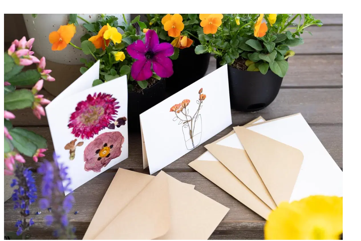 Extra Large Flower Press 11.2" x 10.7" – Press up to 10 Layers! Includes Cardboard, Blotting Paper, Greeting Cards, Ebook & More. Perfect Flower Preservation Kit for Kids & Adults