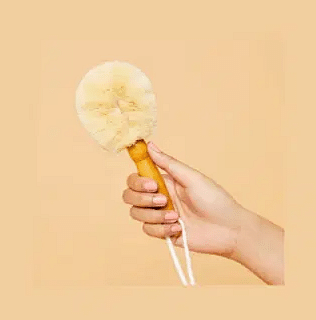 Exfoliating Wet or Dry Body Brush for Normal Skin
