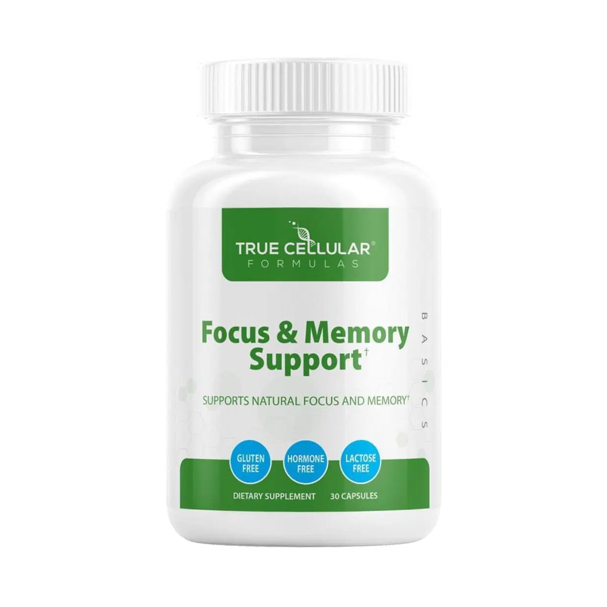 Focus and Memory Support – Nootropic Brain Supplement with Ginkgo Biloba, Bacopa & Huperzine-A for Clarity, Concentration & Cognitive Health