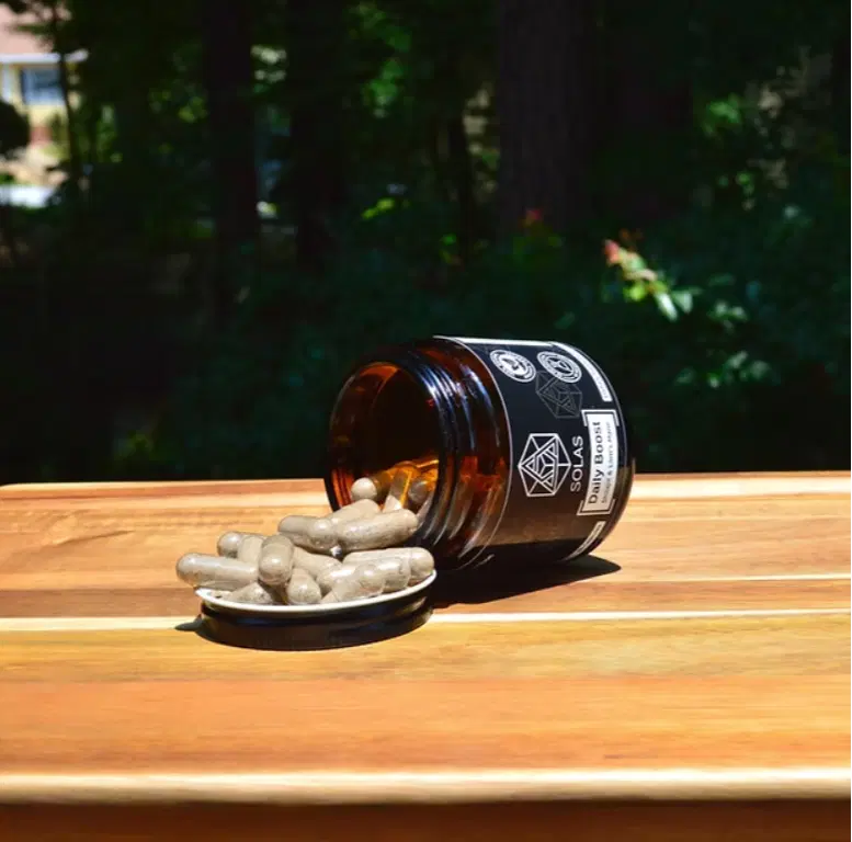 Daily Boost – Shilajit & Organic Lion’s Mane Mushroom Supplement for Energy, Focus & Stamina – Natural Adaptogen & Nootropic Blend