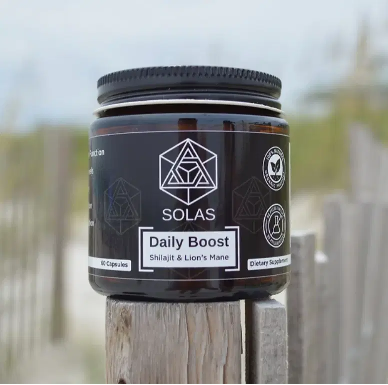 Daily Boost – Shilajit & Organic Lion’s Mane Mushroom Supplement for Energy, Focus & Stamina – Natural Adaptogen & Nootropic Blend