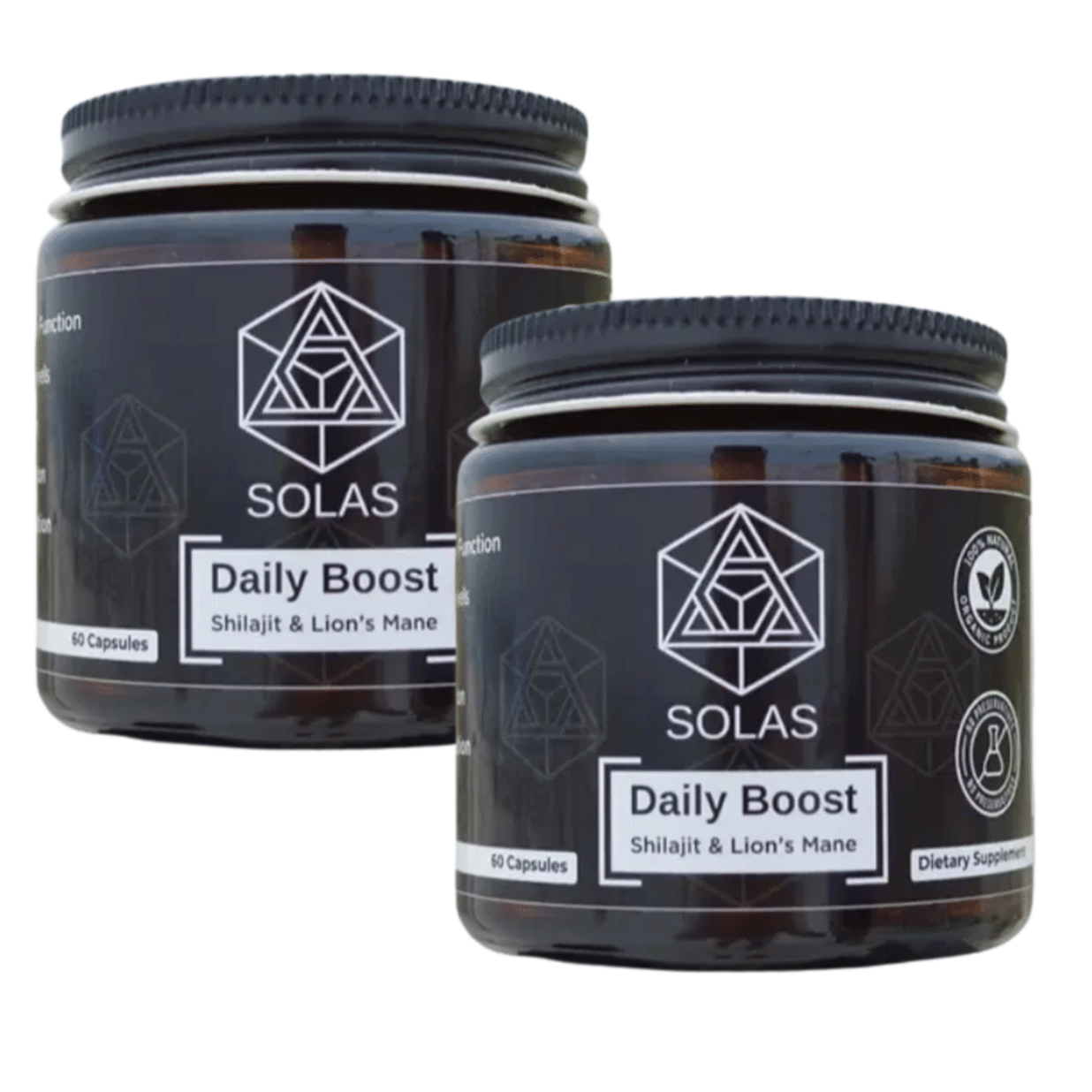 2 Pack Bundle: Daily Boost – Shilajit & Organic Lion’s Mane Mushroom Supplement for Energy, Focus & Stamina – Natural Adaptogen & Nootropic Blend