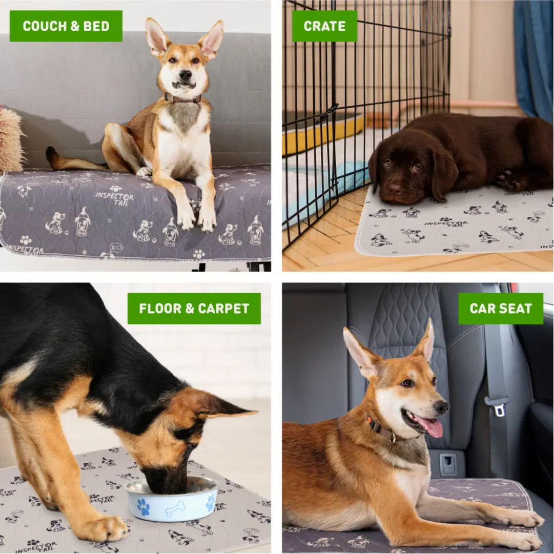 4+ Layers 2 Super Absorbent & Washable Dog Pee Pads + Free Wet Bag | 31" x 36" Waterproof, Non-Slip and Leak-Proof Mats for Crate, Playpen, Potty Training & Whelping