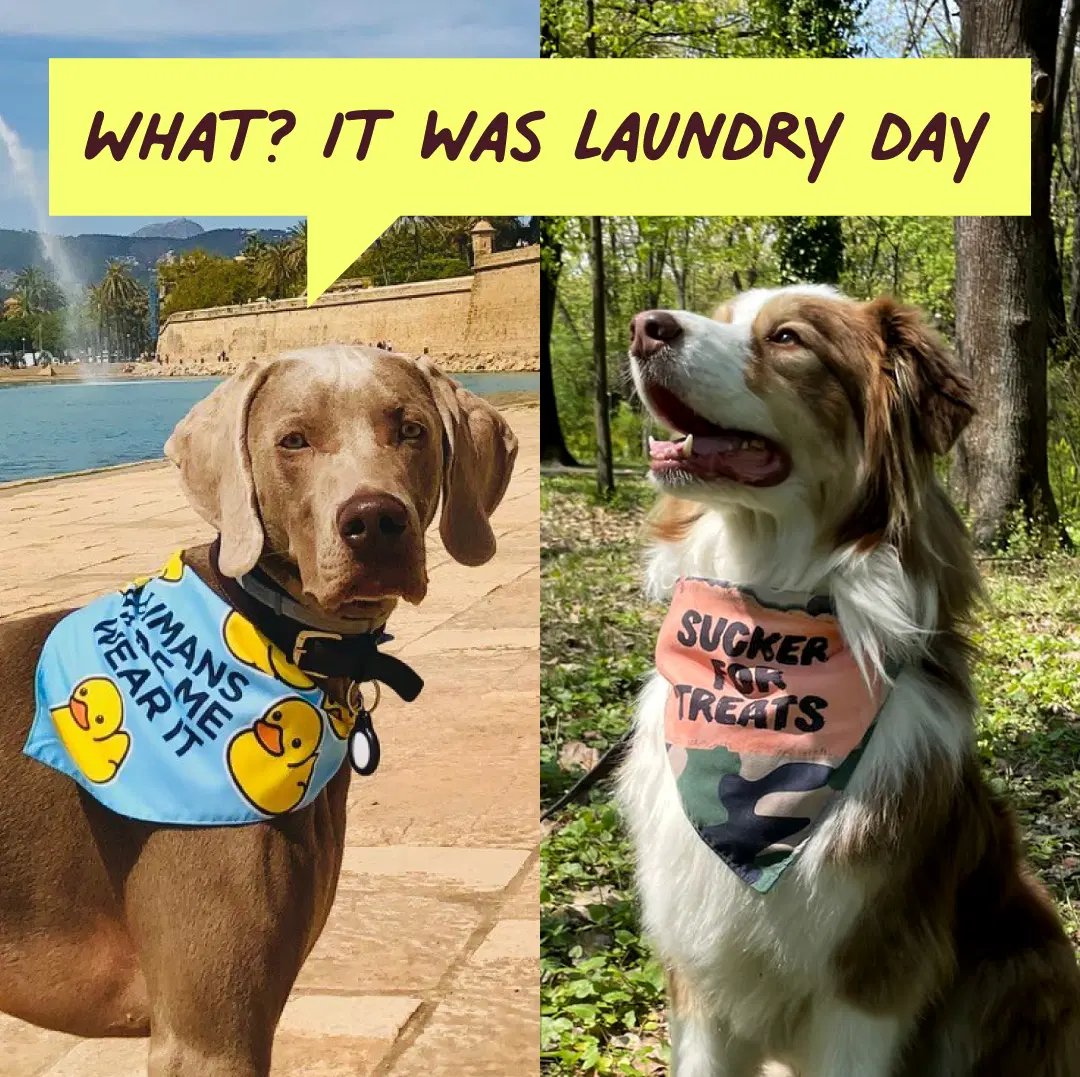 2 Reversible Dog Bandanas – 4 Playful Patterns for Cool, Funny and Instagram-Ready Dogs