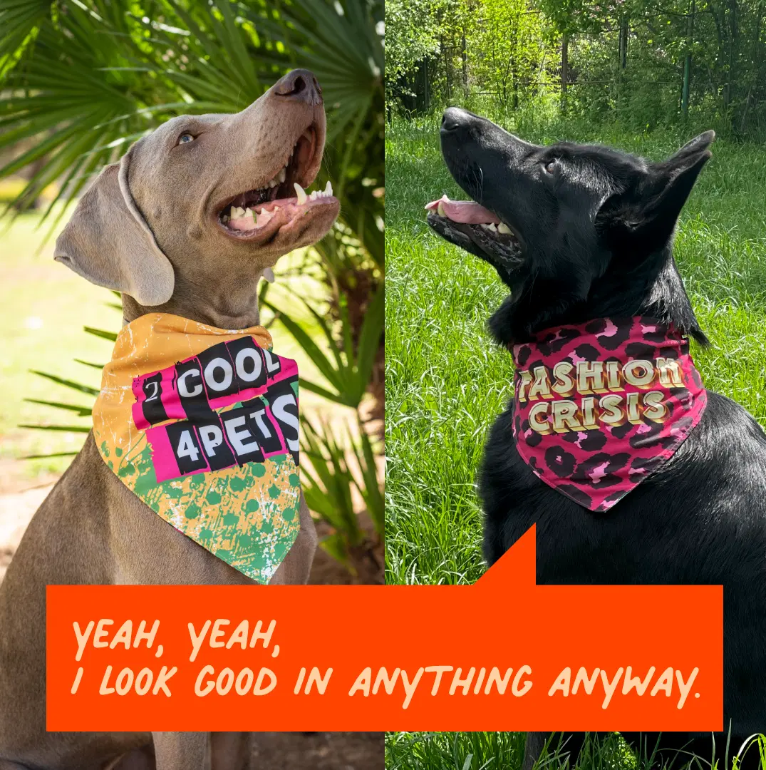 2 Reversible Dog Bandanas | 4 Patterns – Funny & Cool Pet Bandana Set for Dogs 