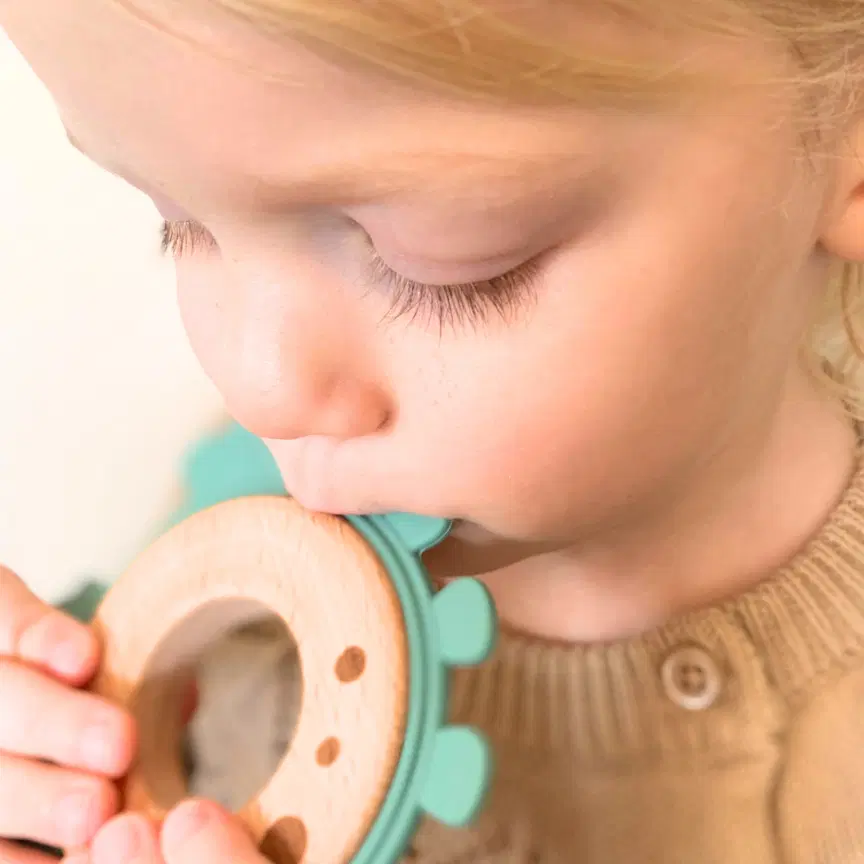 Natural Silicone & Wood Baby Teether Toy (Dinosaur) – Made in USA