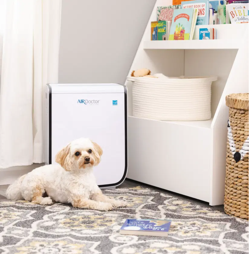 AirDoctor 3500 - Carbon/VOC 3-Stage Filtration for Large Rooms – Quiet Auto-Mode