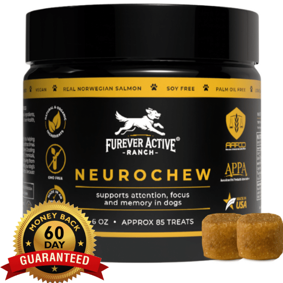 NeuroChew - 1 Bottle