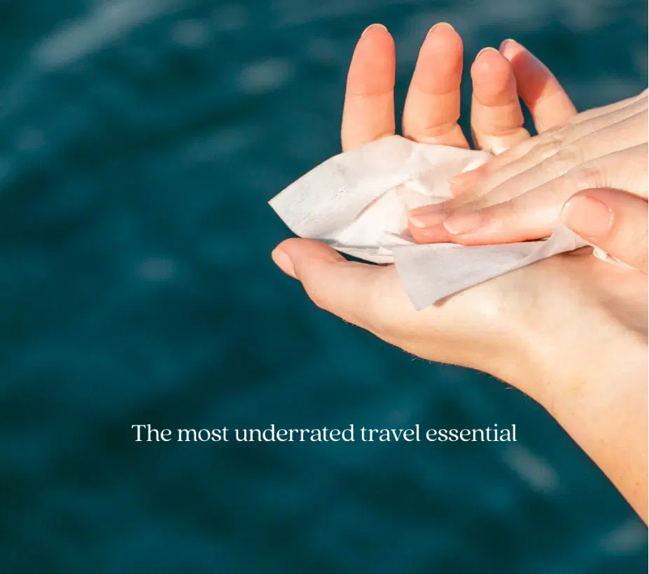 Hand Sanitizer Towelette - Pre-Moistened Antibacterial Wipes for Hands On-The-Go - 50