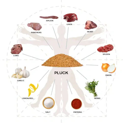 Superfood Seasoning – Organ-Based All-Purpose Blend, 28 g Travel Pack – Original